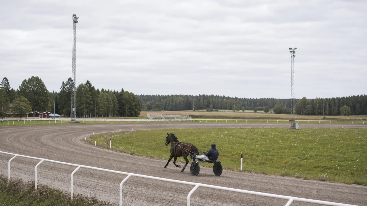 Travhäst i klar ledning på upploppet med fältet långt bakom.