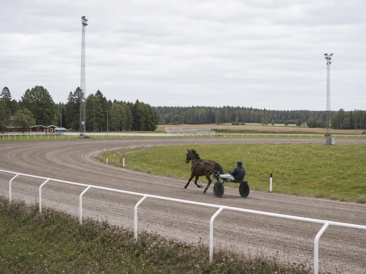 Travhäst i klar ledning på upploppet med fältet långt bakom.