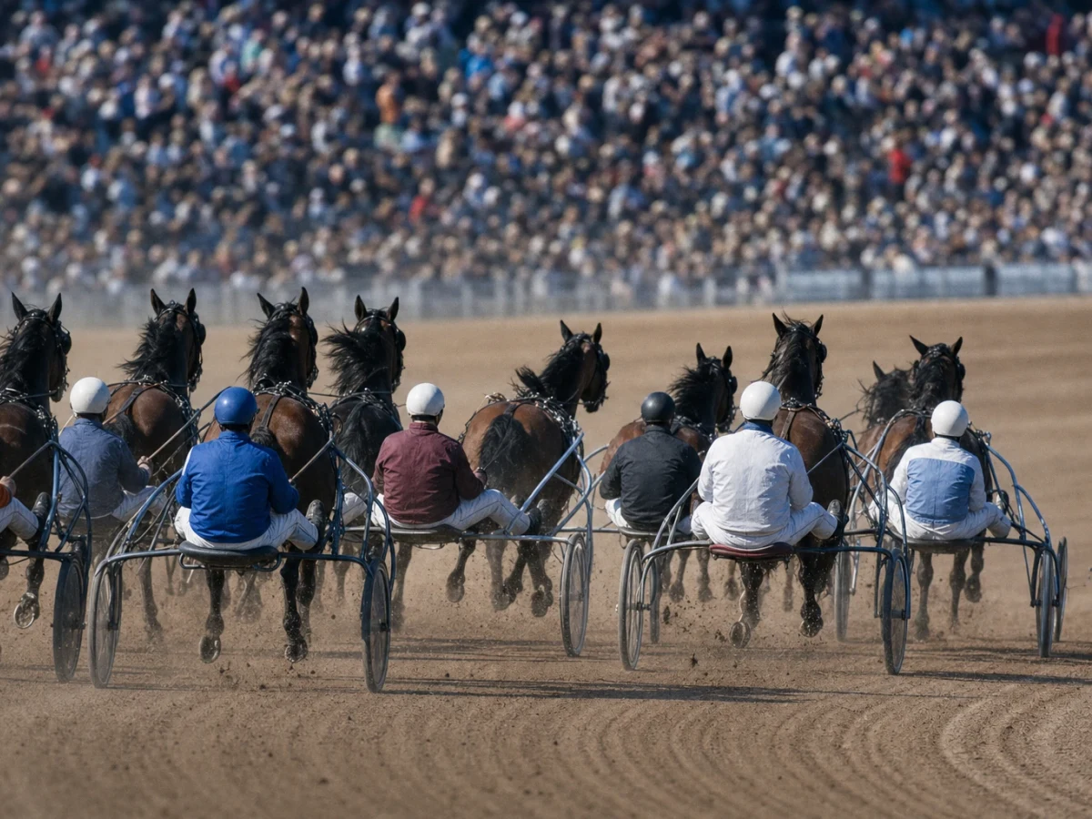 Travhästar med kuskar i sulky på upploppet under ett storlopp på en svensk travbana.